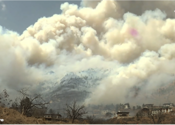 Forest fire incidents drop this dry season